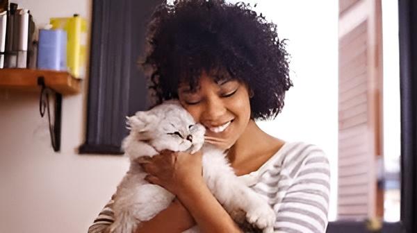 Choosing a Cat is as Important as Choosing Your Better Half